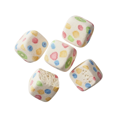 فروش بستنی خشک